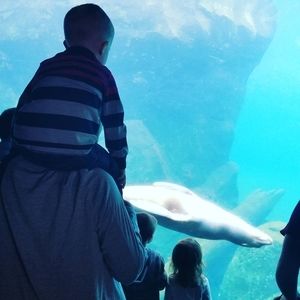 Meet your Posher, Matthew